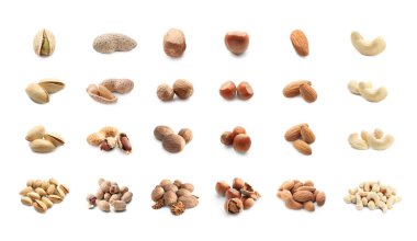 Beyaz zemin üzerine lezzetli fındık çeşitleri