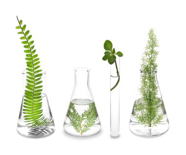 Beyaz arka plan üzerinde bitkiler ile Laboratuar kapkacakları