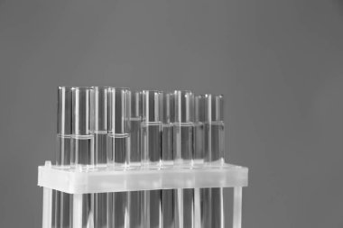 Gri arka plan üzerinde test tüpleri ile stand