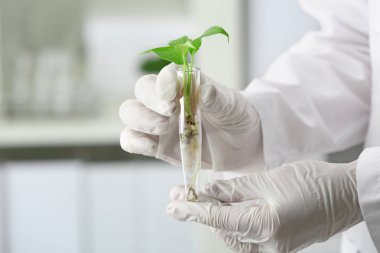 Tüp üretim tesisi ile tutarak laboratuar alt arka plan, closeup bulanık