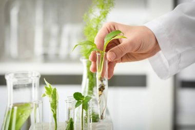 Tüp üretim tesisi ile tutarak laboratuar alt arka plan, closeup bulanık