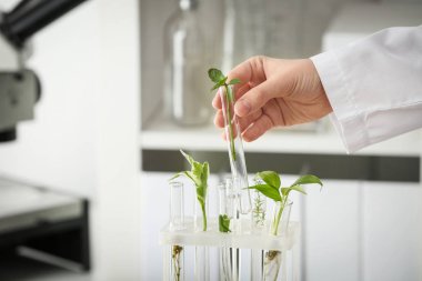 Laboratuvar işçi alma tüp bitki sahibinden, portre