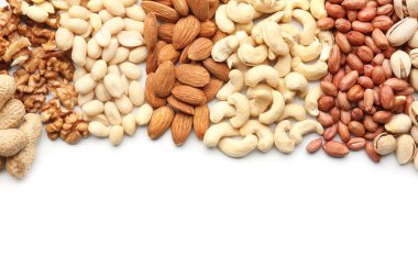 Beyaz zemin üzerine fındık farklı türleri