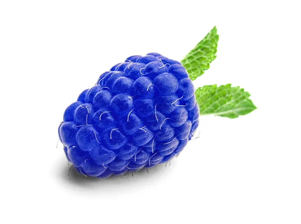 Fresh ripe blue raspberry on white background — Stock Photo, Image