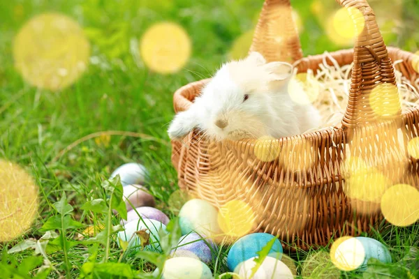 Wicker basket with cute bunny and Easter eggs on green grass outdoors — Stock Photo, Image