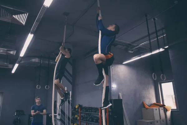 Deportivos jóvenes subiendo a la cuerda en el gimnasio — Foto de Stock