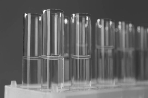 Stand with test tubes, closeup