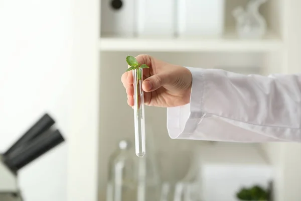 Lab werknemer reageerbuis met plant op onscherpe achtergrond, close-up houden — Stockfoto