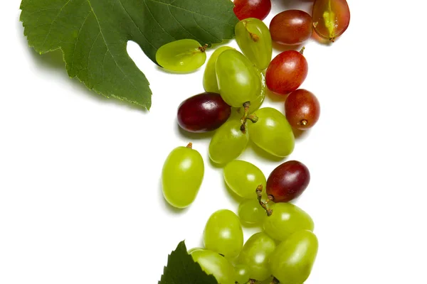 Verse rijpe druiven op witte achtergrond — Stockfoto