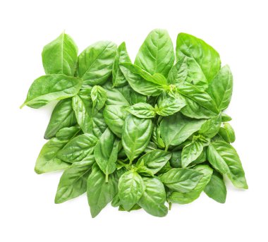 Beyaz arkaplanda taze yeşil fesleğen