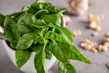 Tablo, closeup taze yeşil Fesleğenli harç