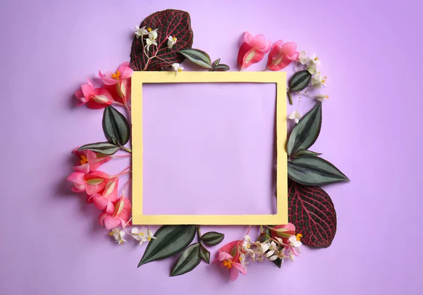 Samenstelling met tropische bloemen en frame op kleur achtergrond — Stockfoto