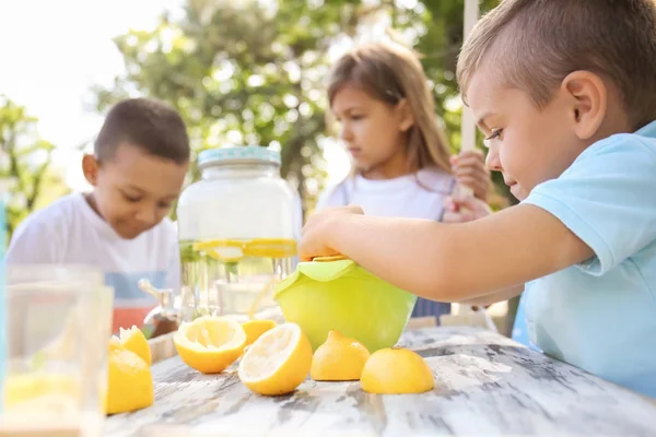 Little boy preparing fresh lemonade in park — Stock Photo, Image