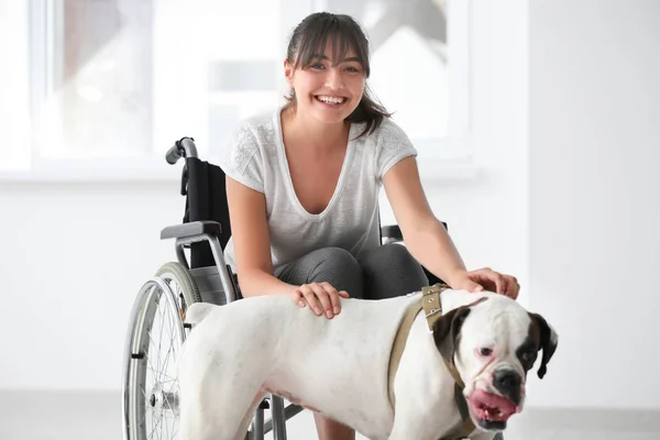 Young woman in wheelchair with service dog indoors — Stock Photo, Image