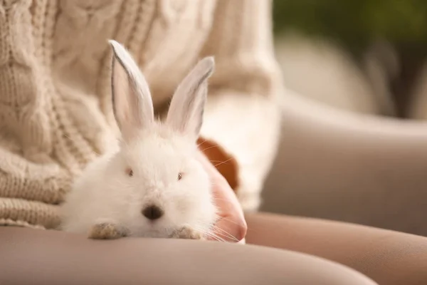 Woman with cute fluffy rabbit at home, closeup — Stock Photo, Image