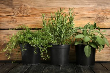 Ahşap masa üzerinde taze aromatik otlar ile tencere