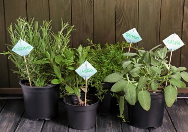 Ahşap masa üzerinde taze aromatik otlar ile tencere