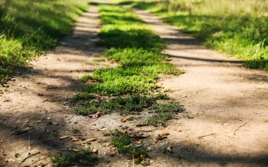 Yeşil park yolundaki görünümünü güneşli