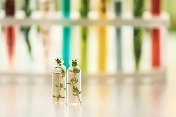 Bottles with plants on table against blurred background — Stock Photo, Image