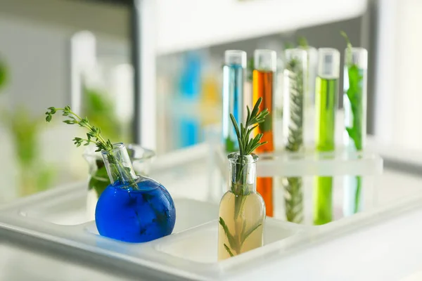 A növények és a folyadékok polcon laboratóriumi üvegedények — Stock Fotó