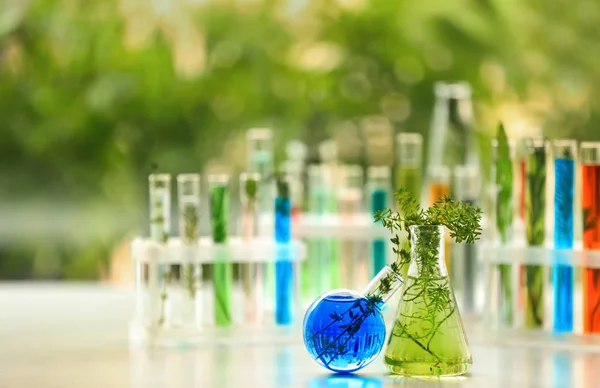 Frascos con plantas y líquidos sobre la mesa — Foto de Stock