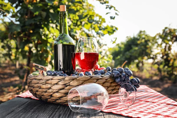 Bottiglia e bicchiere di vino rosso con uva fresca sul tavolo di legno in vigna — Foto Stock