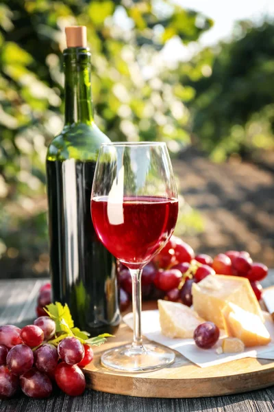 Copo e garrafa de vinho tinto com queijo na mesa em vinha — Fotografia de Stock