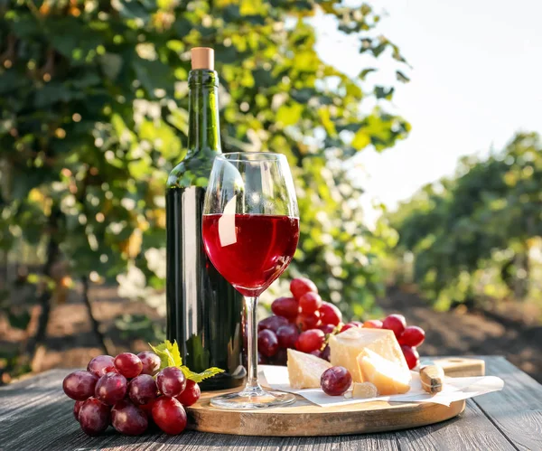Glass and bottle of red wine with cheese on table in vineyard — Stock Photo, Image