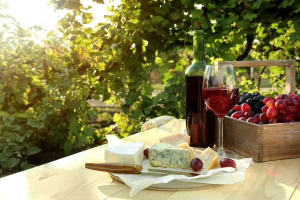 Bicchiere e bottiglia di vino rosso con formaggio in tavola in vigna — Foto Stock