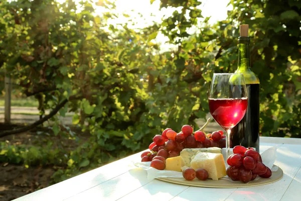 Bicchiere e bottiglia di vino rosso con formaggio in tavola in vigna — Foto Stock