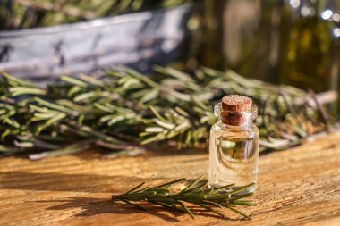 Şişe biberiye yağı tablo ile