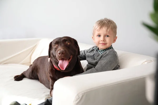 Χαριτωμένο μικρό αγόρι με αστείο σκύλο στο σπίτι — Φωτογραφία Αρχείου