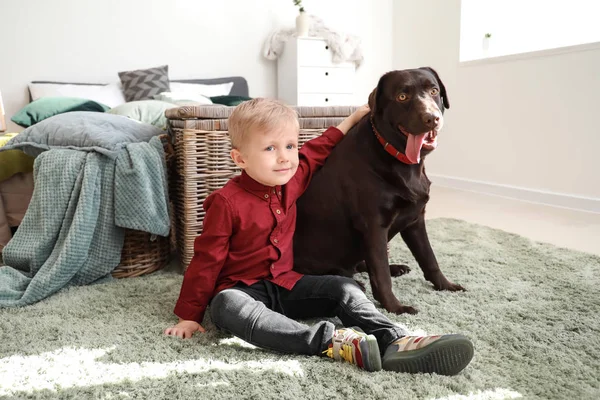 Cute little boy with funny dog at home — Stock Photo, Image