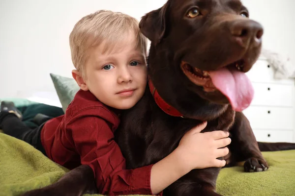 Menino bonito com cachorro engraçado em casa — Fotografia de Stock