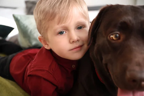 Retrato de menino bonito com cão engraçado em casa — Fotografia de Stock