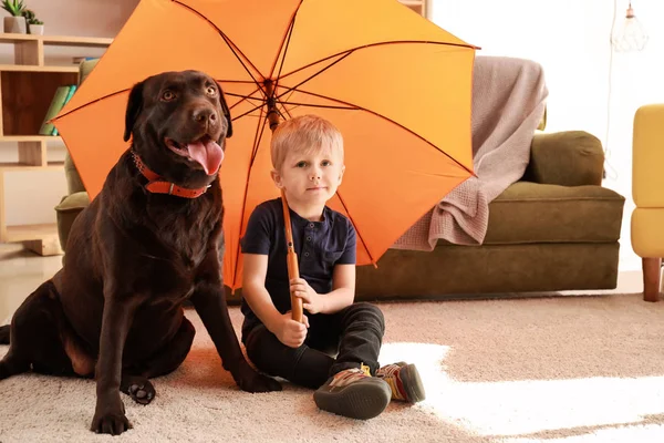 Menino bonito com cão engraçado sentado sob guarda-chuva em casa — Fotografia de Stock