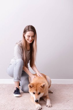 Işık duvarının yakınında şirin Akita Inu köpek kadınla