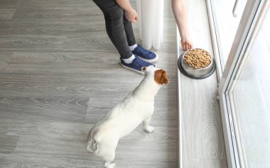 Kadın evde onun sevimli köpek besleme