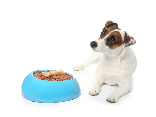 Cão engraçado bonito e tigela com comida seca no fundo branco — Fotografia de Stock