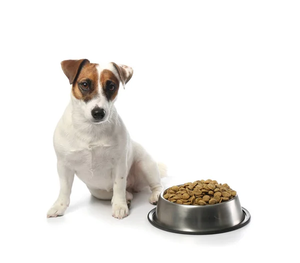 Cute funny dog and bowl with dry food on white background — Stock Photo, Image