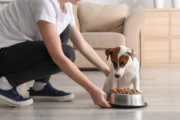 Mujer alimentando a su lindo perro en casa — Foto de Stock