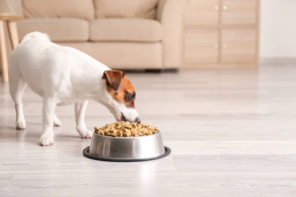 Lindo perro divertido cerca de cuenco con comida seca en casa — Foto de Stock