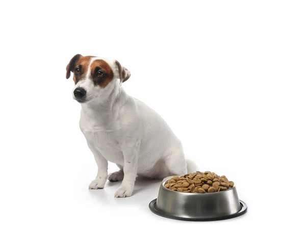 Cute funny dog and bowl with dry food on white background Stock Photo