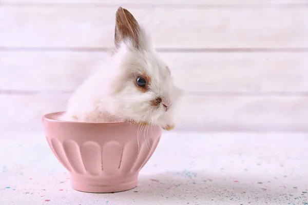 Cute fluffy rabbit in cup on table — Stock Photo, Image