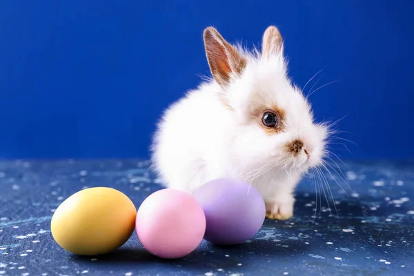 Cute fluffy rabbit with Easter eggs on color background — Stock Photo, Image