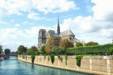 Güzel bir şehirde nehir kıyısında Gotik Katedrali manzarası