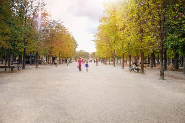 Beautiful alley in city park — Stock Photo, Image