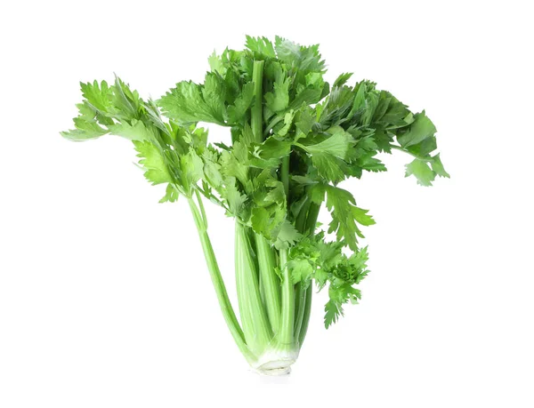 Čerstvý celer na bílém pozadí — Stock fotografie