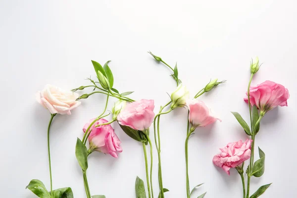 Beautiful Eustoma flowers on white background — Stock Photo, Image