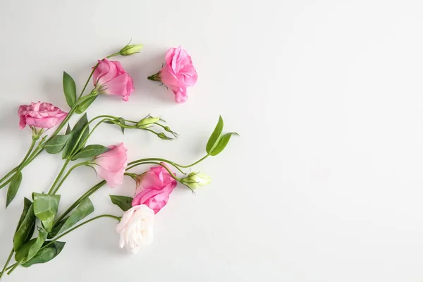 Lindas flores eustoma no fundo branco — Fotografia de Stock